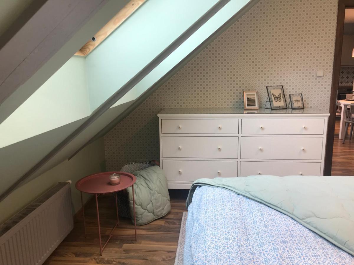 Apartment Attic On Waterfront / View / Netflix Prague